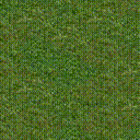 Divine Light Example