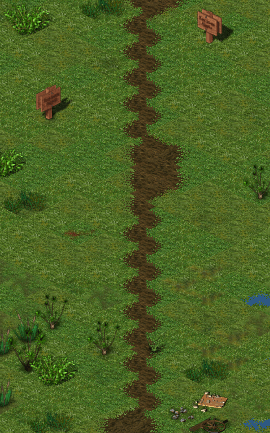 Without Straight Paths